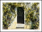 La porta delle rose La porta delle rose