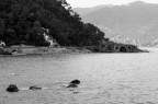 portofino 5 portofino 5