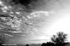 landscape n°7 landscape n°7