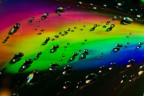 drops