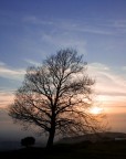 Tramonto... Tramonto...