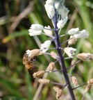 me li succhio tutti...