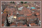 :: I tetti di Lucca ::