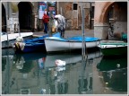 La barbarie non ha latitudini La barbarie non ha latitudini