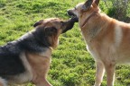 Fatte da un bacio..... Fatte da un bacio.....