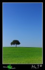 paesaggio semplice semplice paesaggio semplice semplice