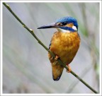 Martino - Oasi di Sant'alessio