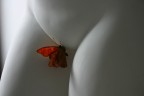 Amore e psiche Amore e psiche