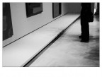 mostra mostra