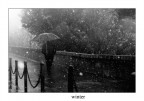 winter winter