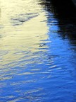 riflessi