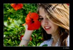 Dylų #2 Dylų #2