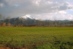 dalla pianura ... alle alpi dalla pianura ... alle alpi