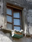 La finestra... La finestra...