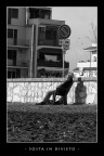 Sosta in divieto Sosta in divieto