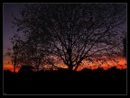 Hyde Park Sunset Hyde Park Sunset