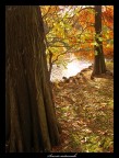 Scorcio autunnale Scorcio autunnale