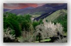 Colori delEtna ............. Colori delEtna .............