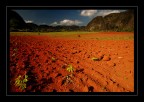 terre rosse terre rosse