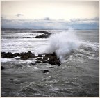 un'immagine scattata durante il freddo fine settimana di Pasqua ... suggerimenti e critiche sono moooolto ben accetti :)

qualcuno mi dice anche se � troppo "chiara"? ho cambiato un monitor ma ho qualche dubbio sui settaggi. 

grazie in anticipo