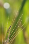 fragile e instabile fragile e instabile