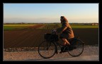 Romagna...terra di ciclisti Romagna...terra di ciclisti