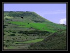 collina collina