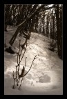 Piccolo Sogno sulla Neve Piccolo Sogno sulla Neve