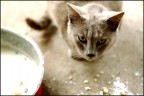 don't touch my milk don't touch my milk