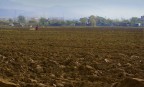 a spasso in campagna