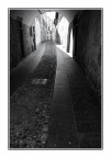 Pavia nascosta Pavia nascosta