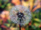 Un soffio di colore Un soffio di colore