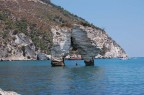 miracoli della natura miracoli della natura