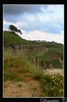 Natura Natura
