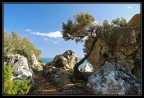 il racconto dell'albero stanco il racconto dell'albero stanco
