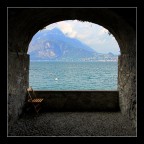 400D + 17-55 IS + POLA

Commenti?