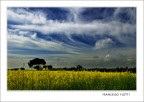 E' primavera E' primavera