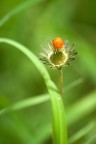 Altra angolazione Altra angolazione