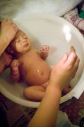 bambino bambino