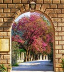 Primavera Primavera