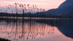 riflessi di un giorno che svanisce.... riflessi di un giorno che svanisce....