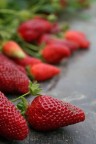 Tempo di Fragole Tempo di Fragole