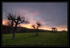tramonto sulla radura tramonto sulla radura
