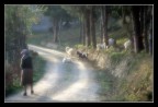 sapore antico sapore antico