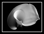 ...calla...