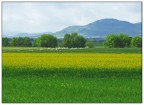 campagna colorata campagna colorata