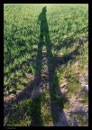 L'ombra del fotografo L'ombra del fotografo