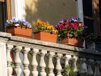 Balcone fiorito