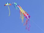 Colori Colori
