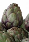 IL CARCIOFO NEL MAZZO